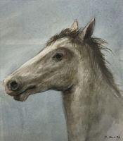 20 - Ein Pferd aus der Camargue.- -1992 - 20.5 x 18 - Pastellkreide auf Papier - Signiert